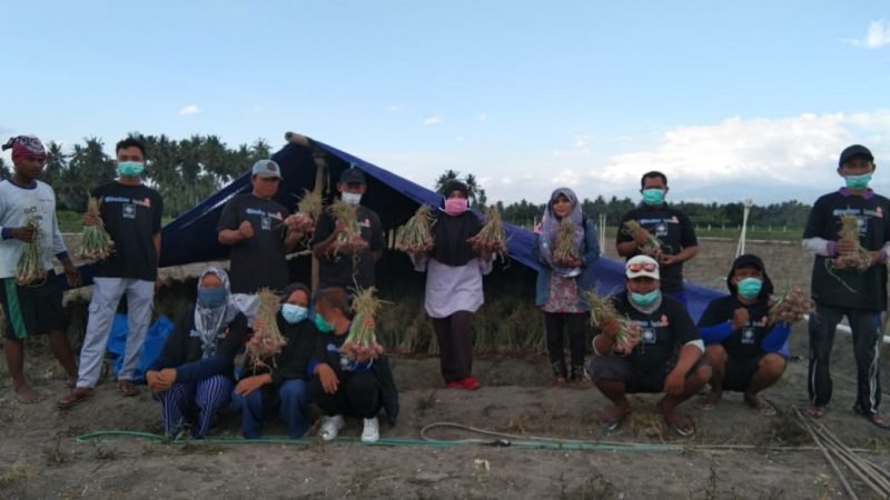 Dosen peneliti dari Unismuh Palu, foto bersama dengan sejumlah petani bawang lokal Palu yang tergabung dalam Kelompok Jama’ah Tani Muhammadiyah (JATAM) yang berlokasi di Desa Langgaleso, Kecamatan Dolo, Kabupaten Sigi.